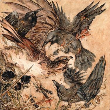 Imagem de Shadows [Disco de Vinil]