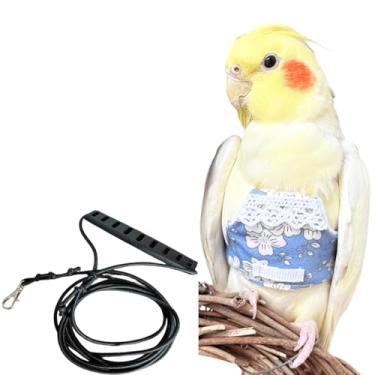 Imagem de CXYYXF Colete de arnês de voo de pássaros, terno de papagaio com coleira para calopsitas Conures Budgies Lovebirds cinza africano, corda de roupas voadoras (azul, P)