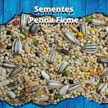 Imagem de Mistura de Sementes - Calopsitas e Agapornis - 1kg - MS