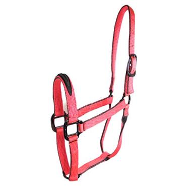 Imagem de Hamilton Cabresto de 2 tons de nylon de qualidade de 2,5 cm com ferragens de metal para cavalos de 800 a 499 kg, média, coral/cinza