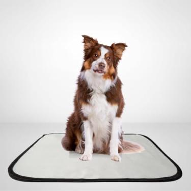 Imagem de Santy Moda Pet, Tapete Higiênico lavável cães, M, 80 x 60cm, 01,reutilizável