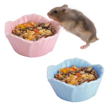 Imagem de VanEnjoy Pacote com 2 tigelas de comida de porquinho-da-índia de cerâmica linda flor para hamster acessórios para chinchila ouriço rosa e azul prato de água para animais pequenos