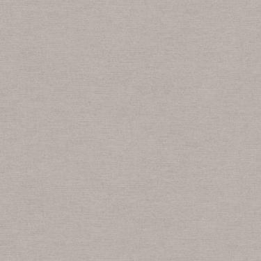 Imagem de Papel de Parede The Wall 2 Textura Cinza 306894