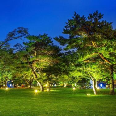 Imagem de Refletor Tr Led 10w Slim Preto - Taschibra 3000k (amarela)