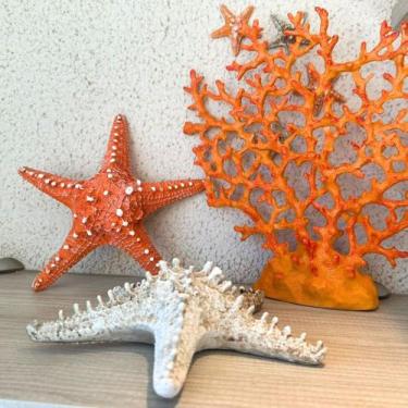Imagem de Decoração Fundo Do Mar Resina Coral 30cm Artesanal Pousada - Madame Ol