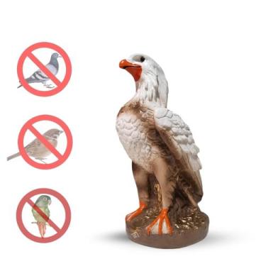 Imagem de Estátua Águia Gavião Espanta Pombos Gesso - Varias Variedades - VÁRIAS