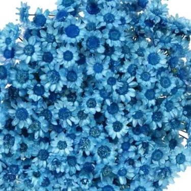 Imagem de 1KG - Flores Sempre Vivas Natural e Desidratado - VIVA FLOR