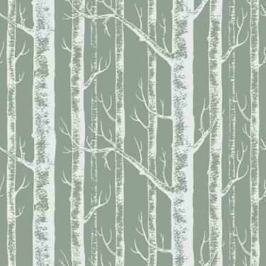 Imagem de VEELIKE Papel de parede de bétula verde sálvia descascar e colar vintage floresta floresta bétula papel de parede para quarto casa de fazenda 17,7 pol. x 118 '' autoadesivo removível árvore parede