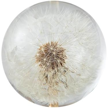 Imagem de Estatueta de bola de cristal de dente-de-leão com espécime de dente-de-leão real, ótima para aniversários, dia dos namorados, caixa de presente elegante, resina transparente de 8 cm, para café