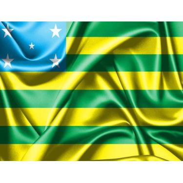 Imagem de Bandeira do Estado de Goiás 80cmx140cm Tecido Oxford 100% Poliéster - 