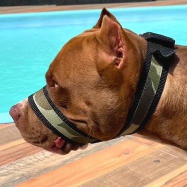 Imagem de Focinheira Tática Militar Moderna Super Confortável E Segura Dogvix, P