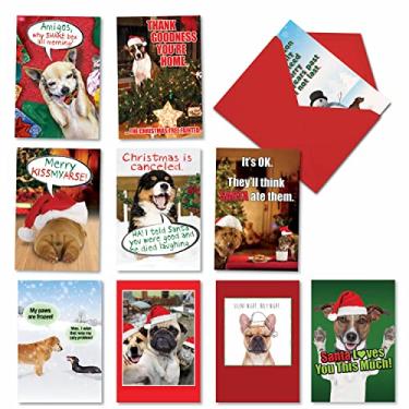 Imagem de NobleWorks - 10 cartões de Natal sortidos divertidos em caixa - Happy Holiday Sortidos, cartões de notas com envelopes - Petigreet Frozen Paws A5556XSG-B1x10