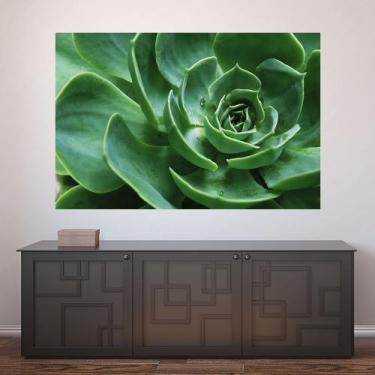Imagem de Painel Adesivo de Parede - Suculentas - Plantas - 1709png - Allodi