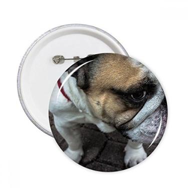 Imagem de Imagens de fotografia de animais Bulldog para animais de estimação, pinos redondos, emblema, emblema, acessórios, decoração, 5 peças