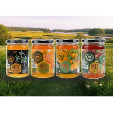 Imagem de Kit Completo 4 Méis DonaBeia 450g – Silvestre, Eucalipto, Cipó-Uva e Laranjeira | 100% Puro, Natural e Artesanal