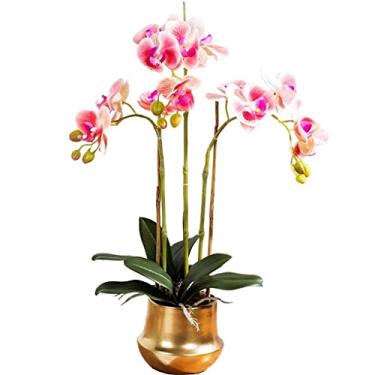 Imagem de LMJYU Phalaenopsis Flor Artificial com Vaso de Vidro Decorativo Arranjo de Flores de Seda Simulação Bonsai Falso Flor Plantio Floral Conjunto para Usuário: Um Interessante