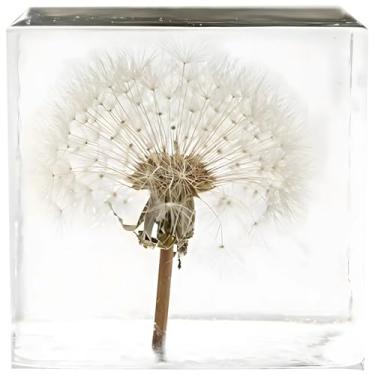 Imagem de Peso de papel de amostra de dente-de-leão em cubo de acrílico transparente, 5 x 5 x 5 cm, decoração de flores naturais reais