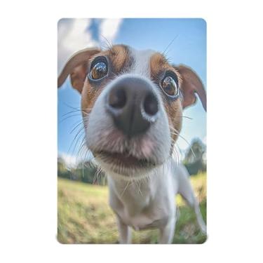 Imagem de STAYTOP Lençol de berço com foto de olho de peixe fofo de cachorro para meninos e meninas, lençol de berço para berço padrão e colchão infantil, lençol de microfibra supermacia, 132 × 71 x 22 cm