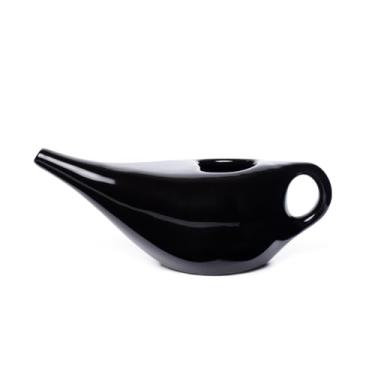 Imagem de Higienizador Nasal Neti pot Jalaneti Limpeza Nasal Limpador Ducha de Nariz