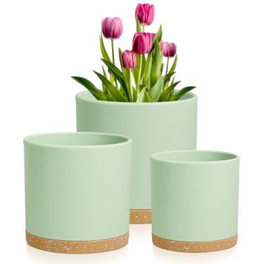 Imagem de Meowell Vasos de plantas de 21 cm, pacote com 3 vasos de flores cilíndricos para plantas internas ao ar livre, vasos de plástico decorativos com orifícios de drenagem e pires para plantas de jardim,