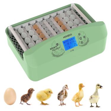 Imagem de Incubadoras de ovos, incubadora de ovos 32-60 com giro automático de ovos e controle de umidade, incubadora para incubação de galinhas com exibição de tempo e temperatura, incubadoras para ovos para