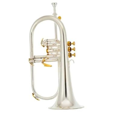 Imagem de Flugelhorn Sib Tokai TFH-400PG Prateado com Dourado