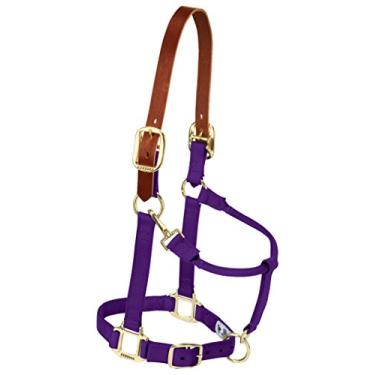 Imagem de Weaver Leather Cabresto de cavalo Breakaway ajustável de nylon, ano e roxo