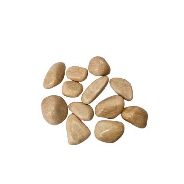 Imagem de Pedra Natural Feldspato Salmão 2 a 4 cm Rolada 250 gramas