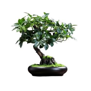 Imagem de Plantas falsas, plantas verdes, decorativas, simulação, árvore, bonsai, sala de estar, árvore em vaso, feng shui, simulação, ornamentos de bonsai, decoração