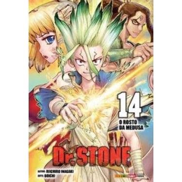 Imagem de Dr. Stone - Vol. 14 - PANINI, Sortido