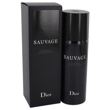 Imagem de Perfume Masculino Christian Dior 150 Ml Desodorante Spray