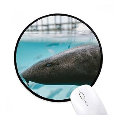Imagem de Tapete de rato animal tubarão oceano animal de organização marinho tapete redondo para computador