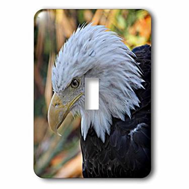 Imagem de 3dRose lsp_184366_1 Interruptor de botão com foto de visualização de perfil esquerdo da American Bald Eagle