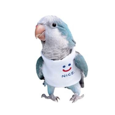 Imagem de Fantasia de pássaro, fralda, traje de avião, roupas de verão, cosplay para fotos, papagaios, periquito, calopsita e animais pequenos (sem fralda, caique)