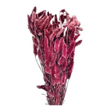 Imagem de Buque Maço Rabo De Gato Vinho Flores Desidratada Arranjo Lar - FLORA F