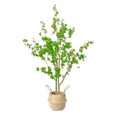 Imagem de SLGGPJBU Plantas falsas planta artificial planta artificial sino árvore simulação plantas verdes plantas em vaso, galhos falsos bonsai casa sala de estar decoração plantas artificiais interior ao ar