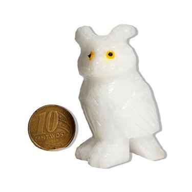 Imagem de Coruja Branca Esculpida em Dolomita Pedra para Decoração