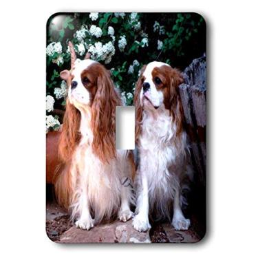 Imagem de 3dRose lsp_1172_1 Dois Blenheim Cavalier King Spaniel Interruptor de Alternância Simples