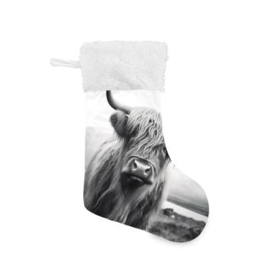 Imagem de ATTX Meias de Natal engraçadas de vaca escocesa das terras altas, suportes de presente de punho de pelúcia branca para decorações de festas de fim de ano (17,7 polegadas, pacote com 2) #291