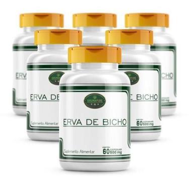 Imagem de Erva De Bicho 6 Potes Cáps 500Mg 100% Natural E Pura - Suplemenpure