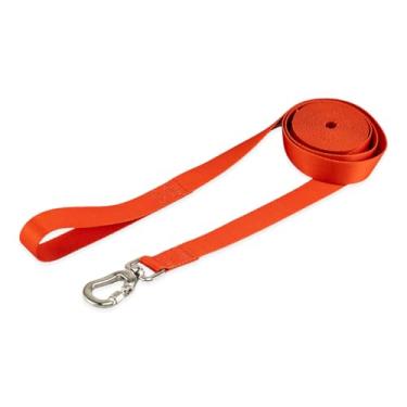 Imagem de Basic Pet Coleira Guia 10 Metros Para Cães Cachorro Adestramento Passeio Porte Grande Médio Pequeno (Vermelho, M)