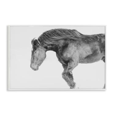 Imagem de Stupell Industries Garanhão de inverno galope branco emoldurado giclée design de arte por Amy Carroll, 20 x 30