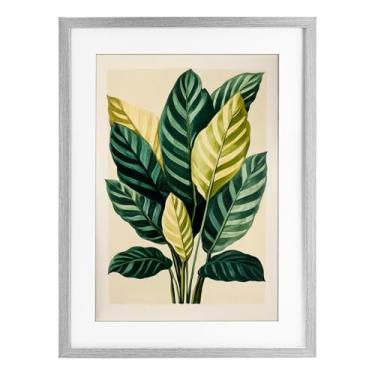 Imagem de Stupell Industries Impressão emoldurada de bétula de folhas tropicais ramos verdes sob vidro, design por Petal Prints Design, 20 x 14