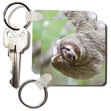 Imagem de 3dRose Bicho-preguiça de garganta marrom, Corcovado Costa Rica - SA22 JGS0017 - Jim Goldstein - Chaveiros, 5,7 x 11,4 cm, conjunto de 6 (kc_87171_3)