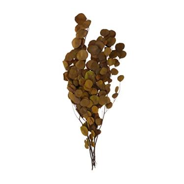 Imagem de BESTOYARD cacho de macieira eucalipto seco planta artificial decoração vaso flor de caule de eucalipto flores secas de eucalipto doméstico ramalhete Yunnan arranjo de flores bebê decorar