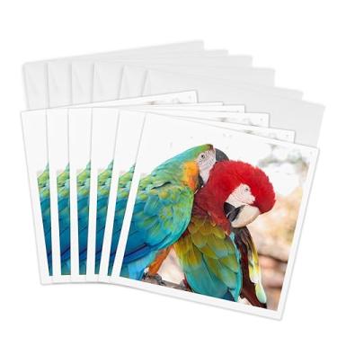 Imagem de 3dRose Cartões comemorativos, azul, arara amarela, Flórida (gc_206694_1)