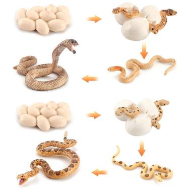 Imagem de Conjunto de bonecos Snake Life Cycle, brinquedo infantil Cobra and Sand Boa