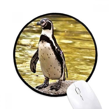 Imagem de DIYthinker Tapete para mouse com pinguim do oceano sul ciência antártica natureza tapete de mesa escritório redondo para computador