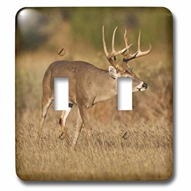 Imagem de 3dRose Interruptor duplo lsp_94478_2 Veado de Cauda Branca, Grassland, Texas-US44 LDI0371-Larry Ditto, multicolorido