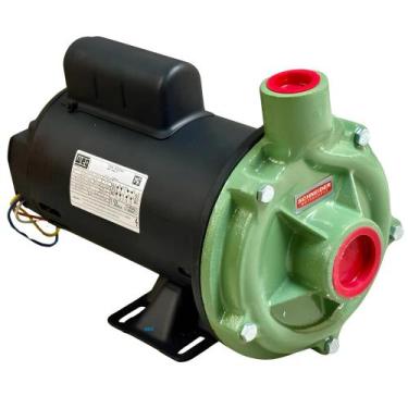 Imagem de Bomba Centrífuga Schneider 1,0cv 127/220v Motor Weg